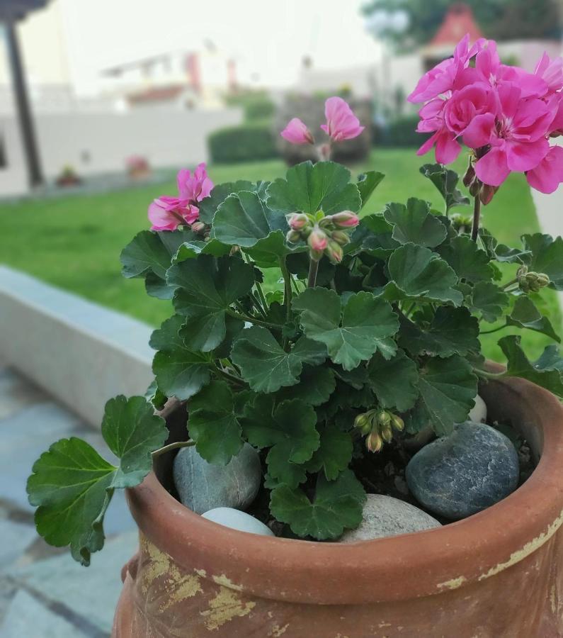 Villa Aphrodite Kolimvarion Bagian luar foto
