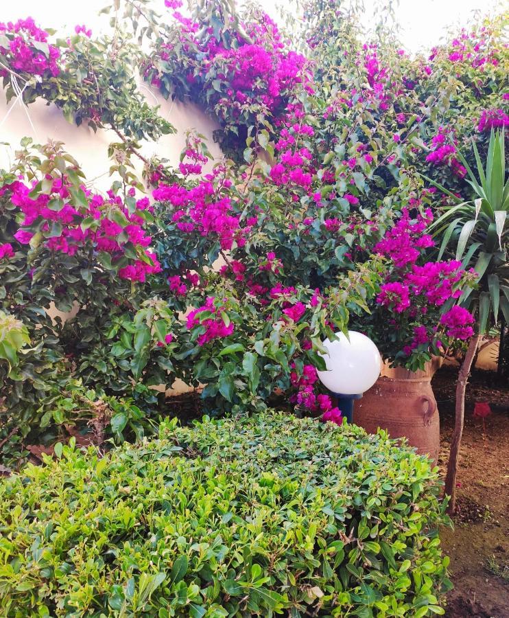 Villa Aphrodite Kolimvarion Bagian luar foto